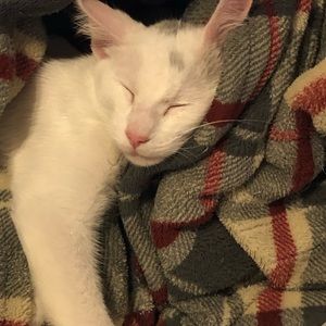 Meet your Posher, Kristi